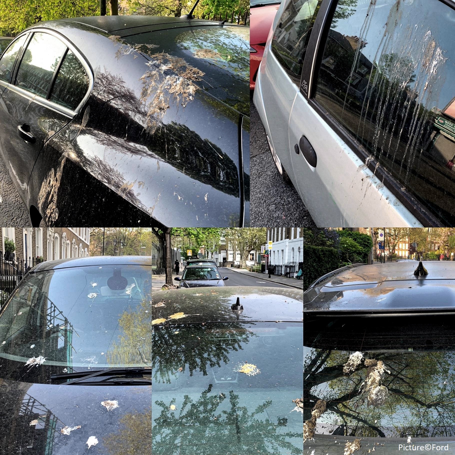 What’s the best way to clean bird poo off my car after lockdown?